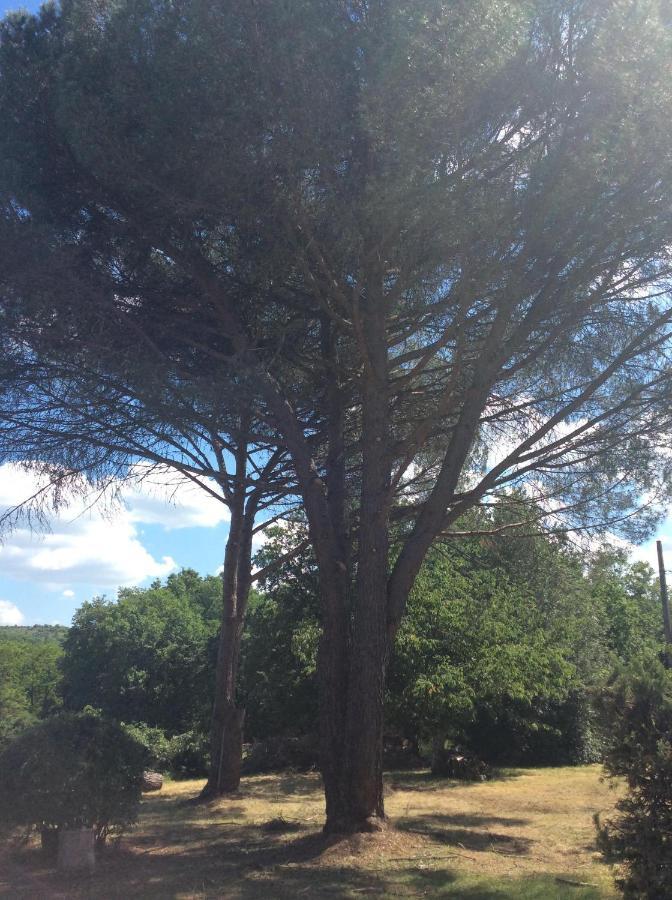 Le Jardin Du Moustoulac Chambres D'Hotes Cahors Exterior foto