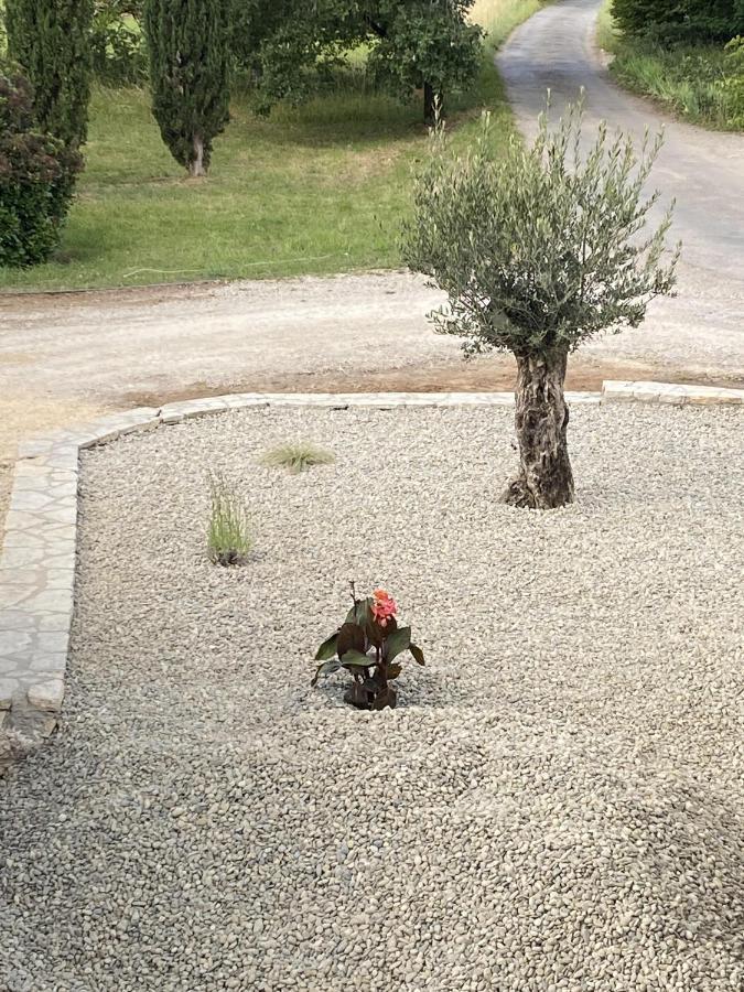 Le Jardin Du Moustoulac Chambres D'Hotes Cahors Exterior foto
